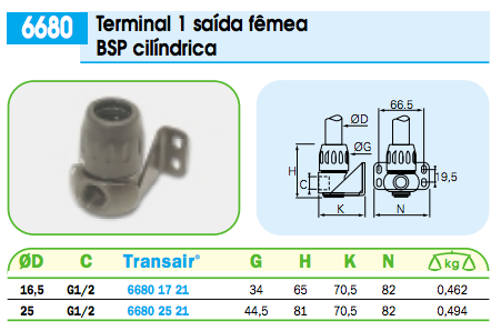  Terminal Simples